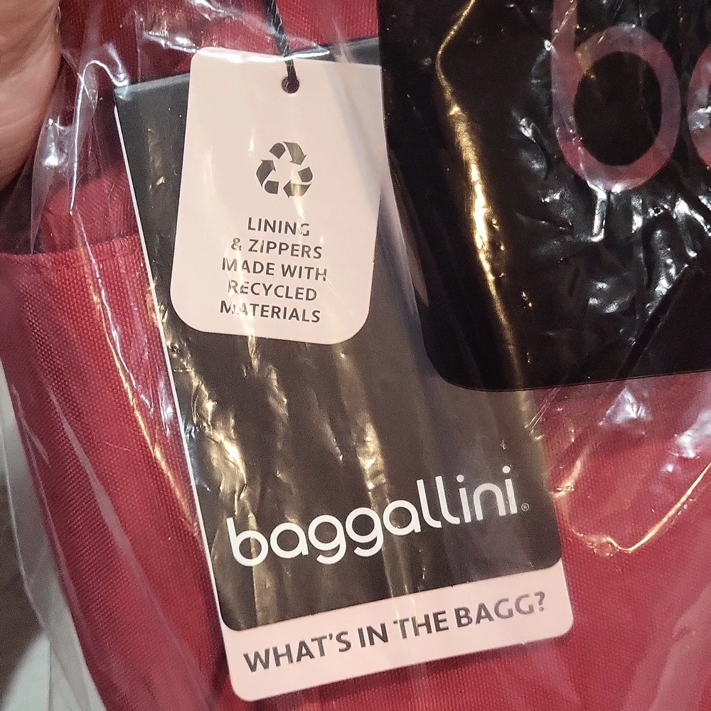 Baggallini Everywhere Bag
